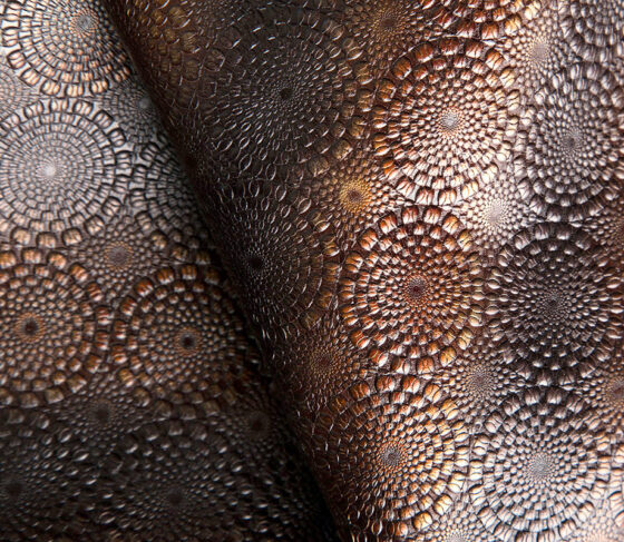Embossing Plates in Electrolythic Copper, Monoblock Steel, Nickel and Light Alloy - Image 2