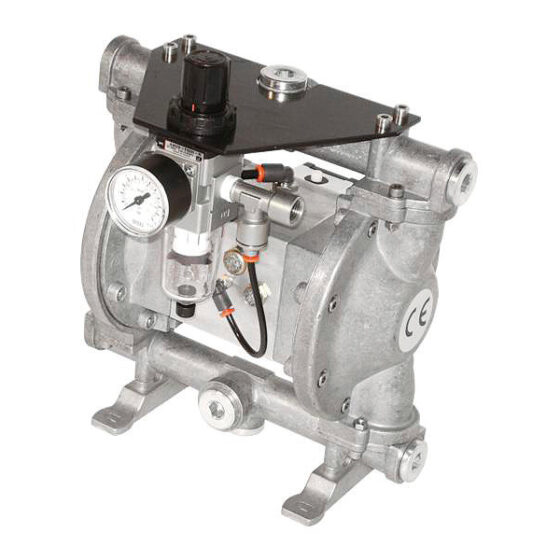 DOUBLE DIAPHRAGM PIGMENT PUMP